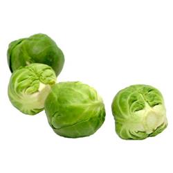 Brussel Sprouts