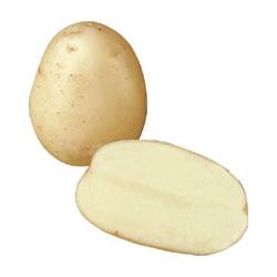 Wilja 25kg Potatoes (25kg)
